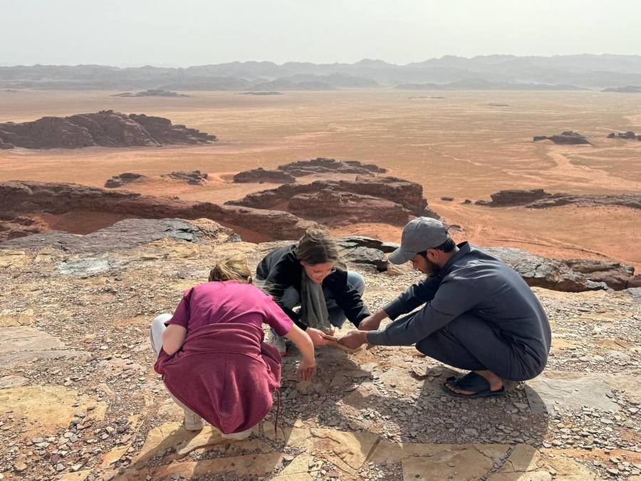 Guide and guests examining rock fragments on a ridge above the desert